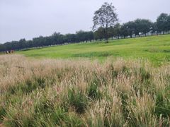 -汉长安城未央宫国家考古遗址公园