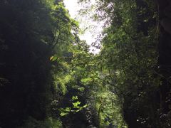 -神龙峡风景区