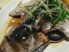 清蒸鲈鱼-龙记烧腊茶餐厅(常德路店)