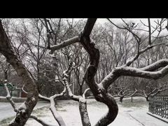 -玲珑塔公园