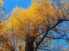 -狼山风景名胜区