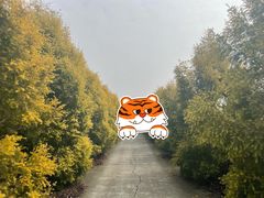 -金谷域澳洲庄园