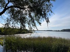 -丁香湖公园