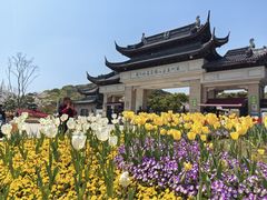 -苏州上方山国家森林公园