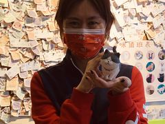 -猫小院猫主题餐厅(南锣旗舰店)