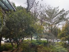 -福州西湖大酒店·怡湖咖啡厅