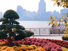 -北外滩滨江绿地