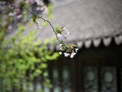 -莫愁湖公园