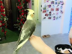 -JOJO实景沉浸侦探剧本杀(大悦城店)