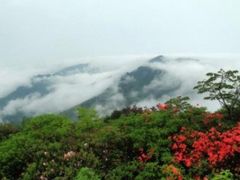 -永州阳明山国家森林公园