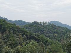 -石燕湖生态旅游景区