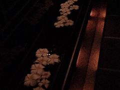 -Dragonfly悠庭·按摩Spa(静安嘉里中心店)