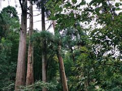 -东天目山风景区