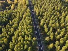 -塞罕坝国家级自然保护区