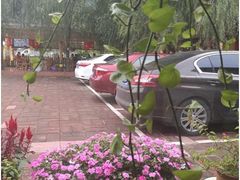 -龙福源密云水库灶台鱼