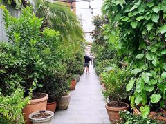 -The Grounds of Alexandria