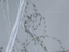 -桉树林A coffee 森林餐厅(三圣乡店)