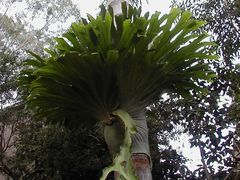 -费瑟代尔野生动物园