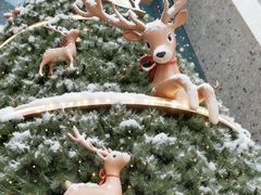 -深圳湾万象城(南山店)