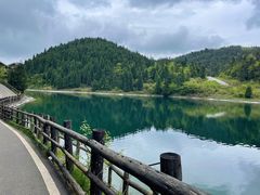 -武陵山森林公园