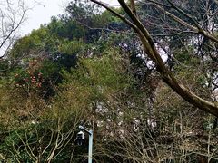 -西湖风景区-江洋畈生态公园