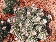 -南通洲际绿博园