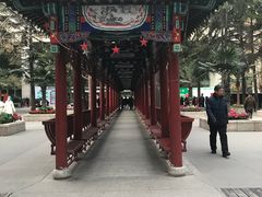 -中国人民解放军总医院(301医院)