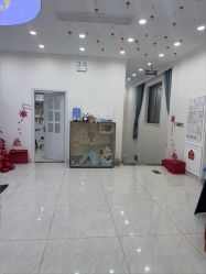 -苗医生草本科技祛痘