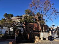 -有一锅·黑山羊腊排骨土鸡火锅(古城四方街店)