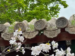 -潭柘寺景区