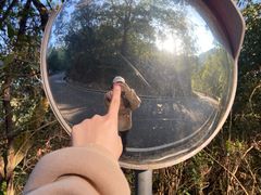 -广州白江湖森林公园