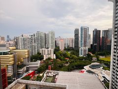 -新加坡乌节希尔顿酒店 (SG Clean)