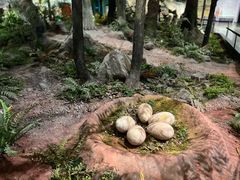 -湖南省地质博物馆