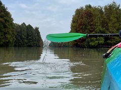 -上海海湾国家森林公园