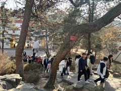 -普陀宗乘之庙(小布达拉宫)