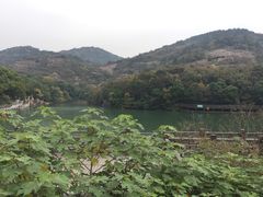 -白马涧龙池景区