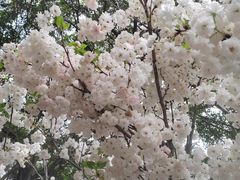 -观澜湖生态运动公社