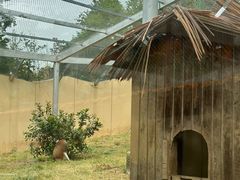 -合肥野生动物园