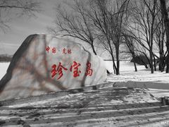 -珍宝岛