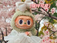 -顾村公园