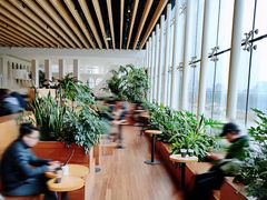 -Seesaw Coffee(朝阳大悦城店)