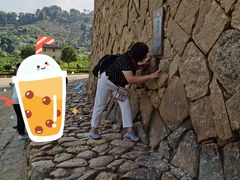 -福建土楼（华安）旅游区•大地土楼群