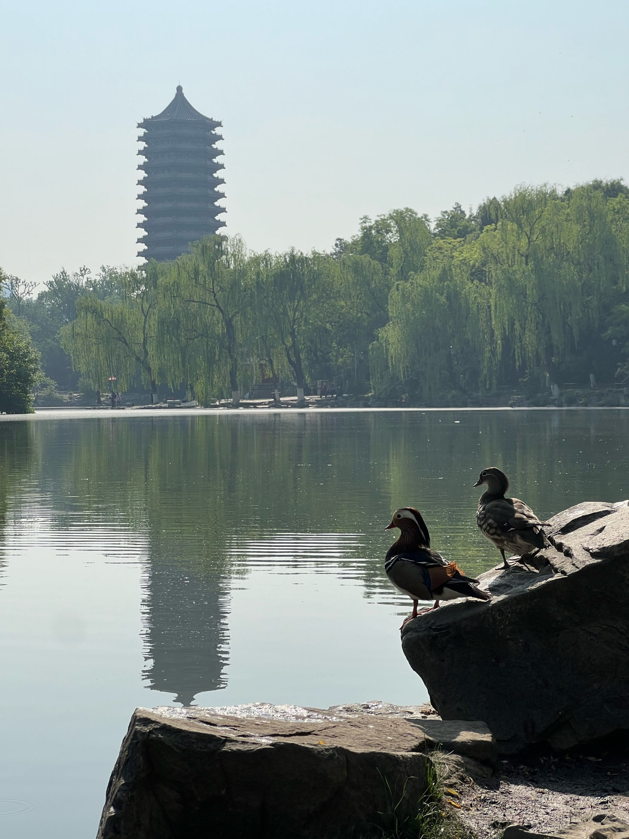 校园风景图 摄影图片