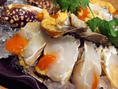 -宁波柏悦酒店·钱湖渔港