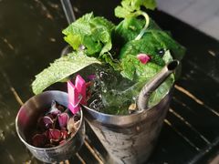 -THE BARMAN HOUSE(调酒师南门店)
