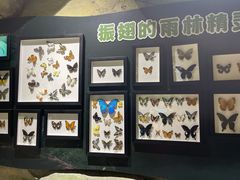 -MR.ZOO小小动物元室内动物园(沈阳沈河盛京中心)