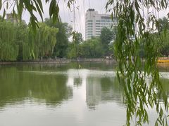 -莲湖公园