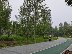 -回龙观体育文化公园