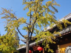 -龙华寺