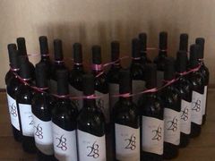 -光明招待所(邦凯科技园店)